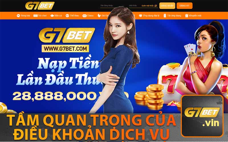 Tầm Quan Trọng Của
Điều Khoản Dịch Vụ